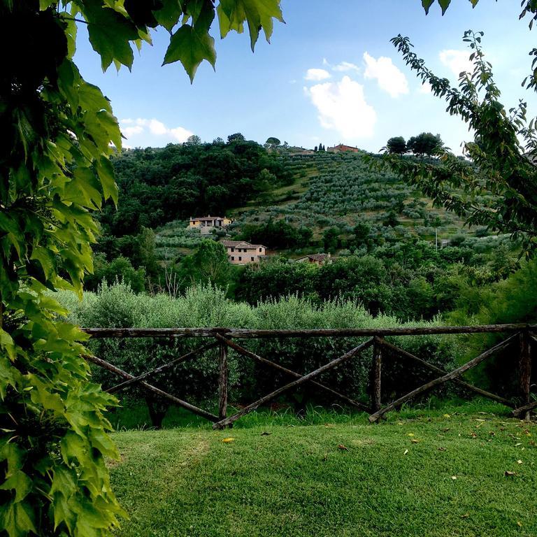Agriturismo La Montagnola Torgiano Exterior photo
